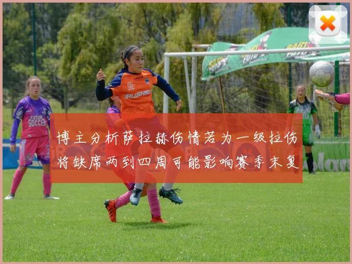 博主分析萨拉赫伤情若为一级拉伤将缺席两到四周可能影响赛季末复出