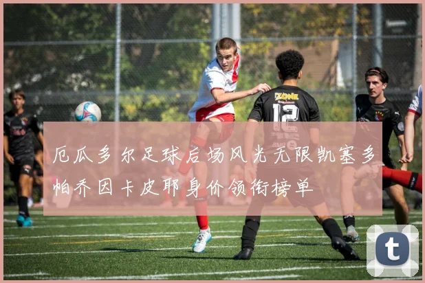 厄瓜多尔足球后场风光无限凯塞多帕乔因卡皮耶身价领衔榜单